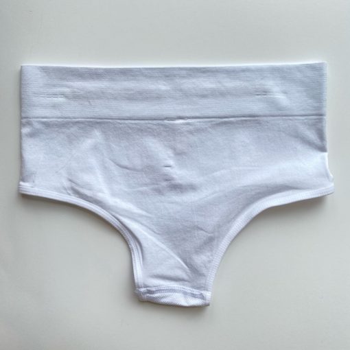 Risqué Clothing Seamless Full Back Panty
