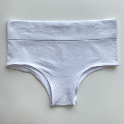 Risqué Clothing Seamless Full Back Panty
